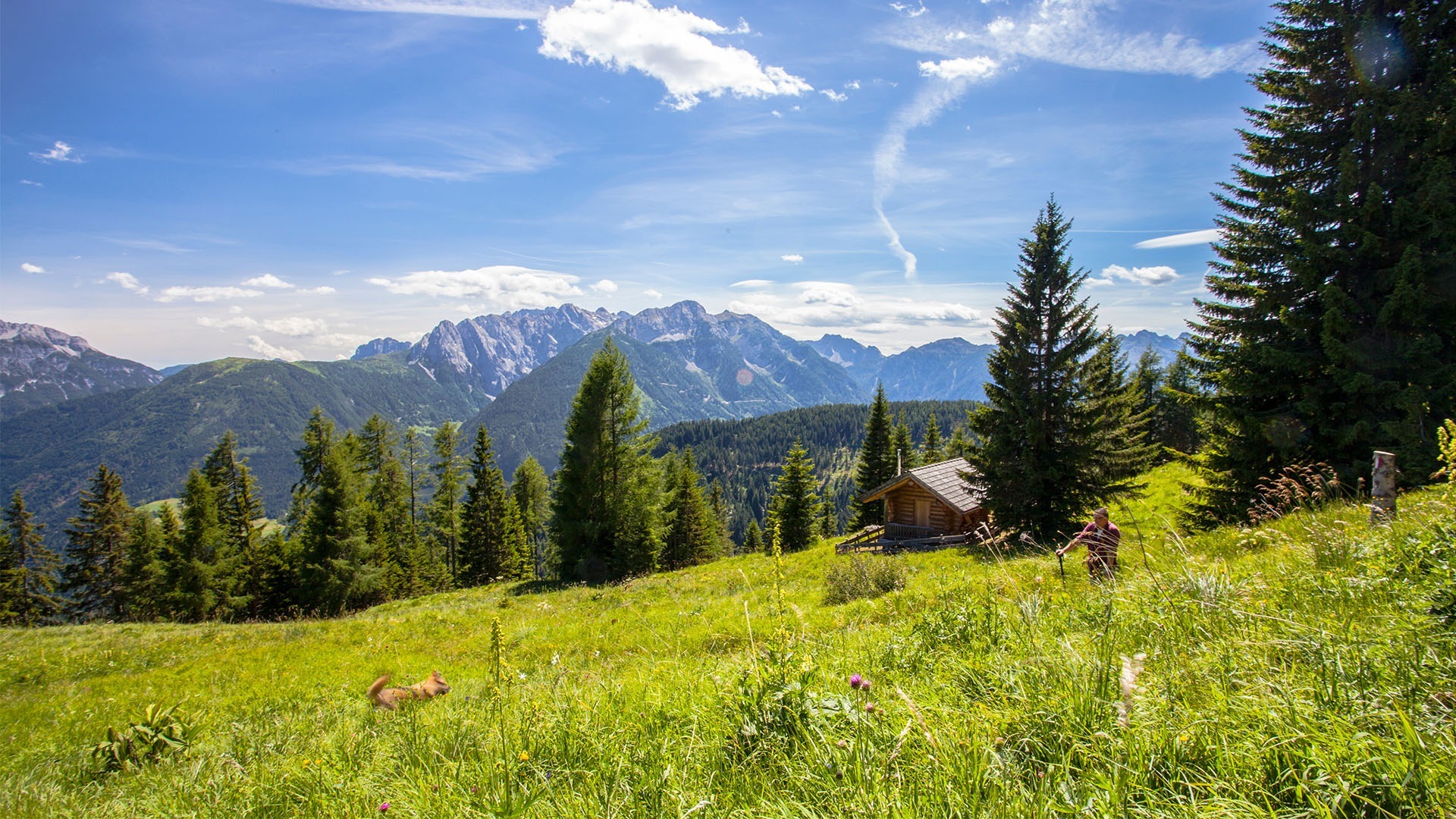 De omgeving van onze gezellige vakantiewoning Gailblick in Oostenrijk