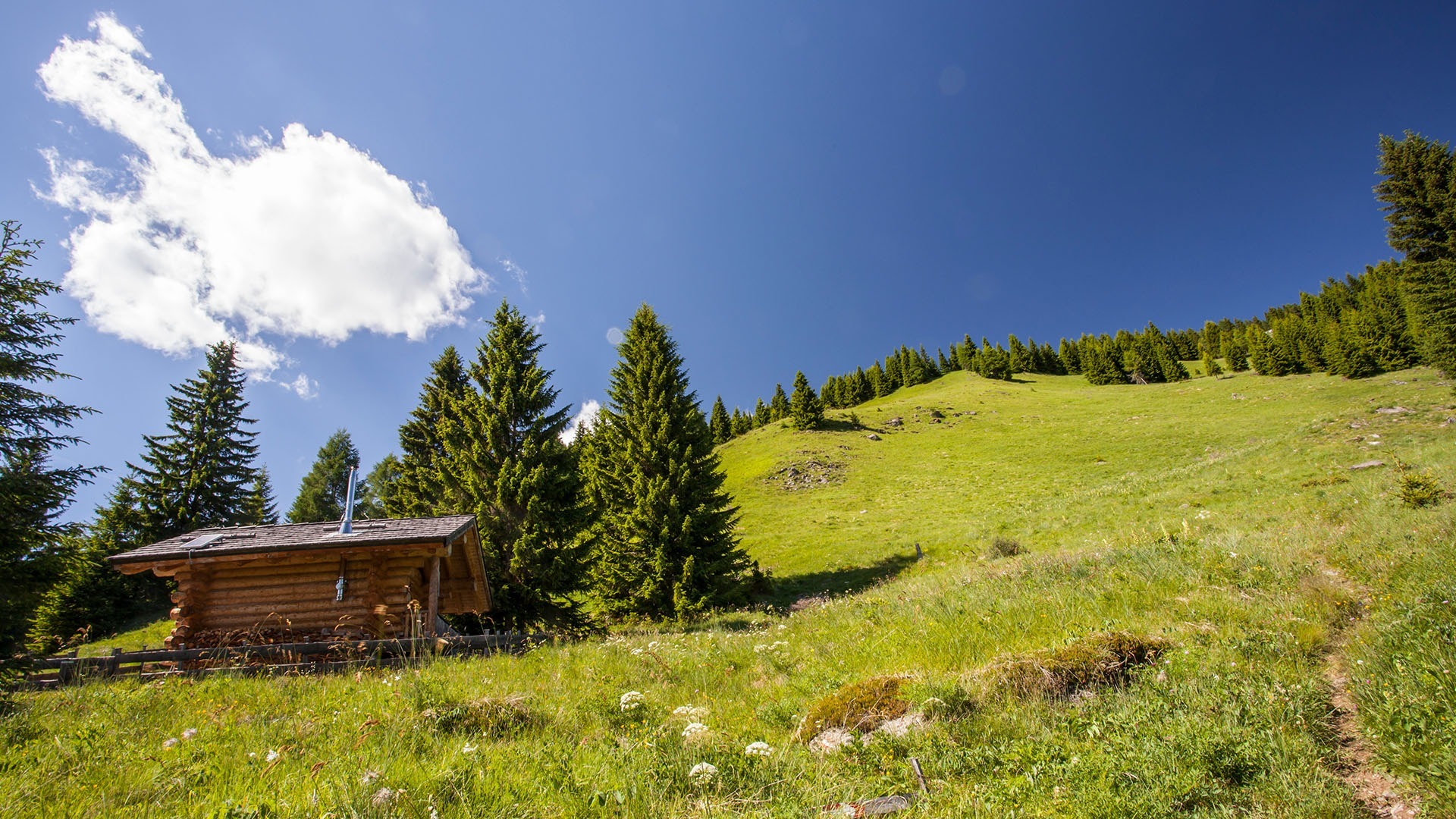 De omgeving van onze gezellige vakantiewoning Gailblick in Oostenrijk