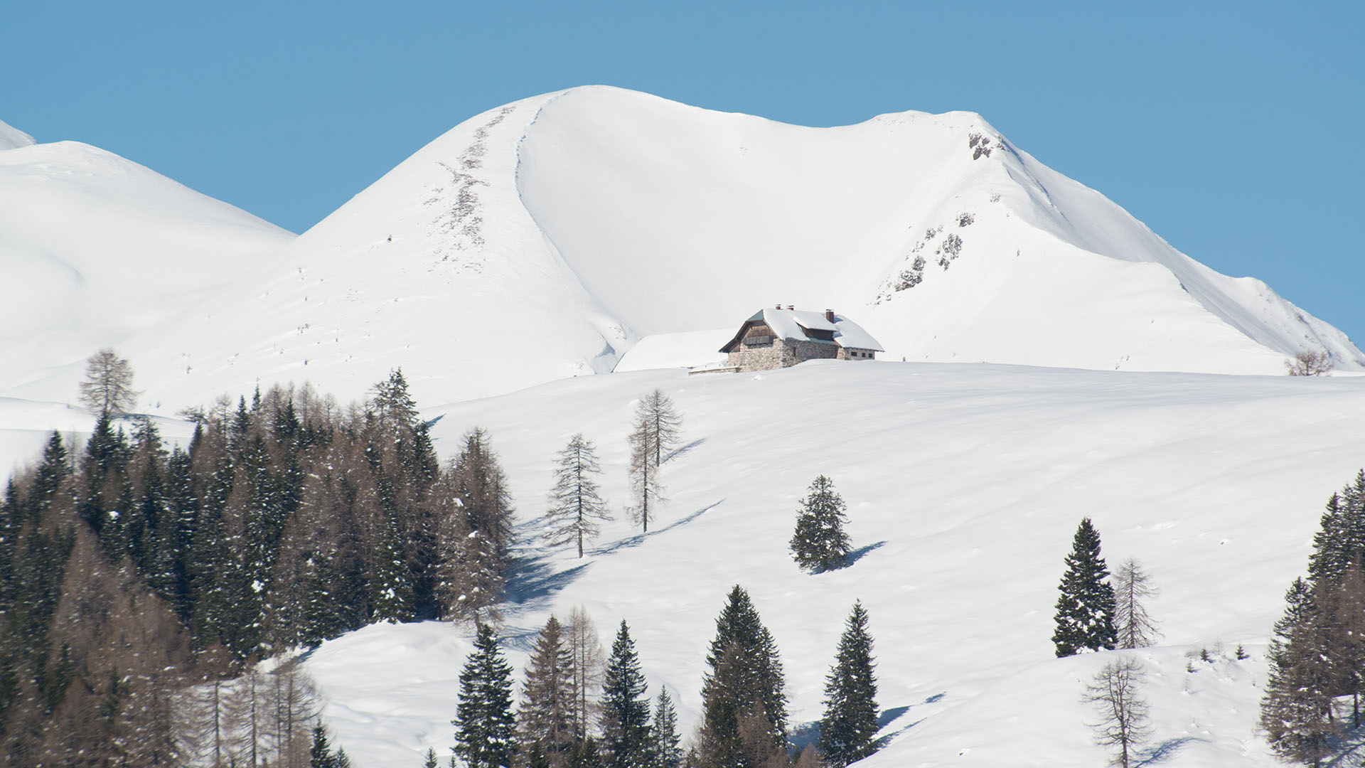 De omgeving van onze gezellige vakantiewoning Gailblick in Oostenrijk